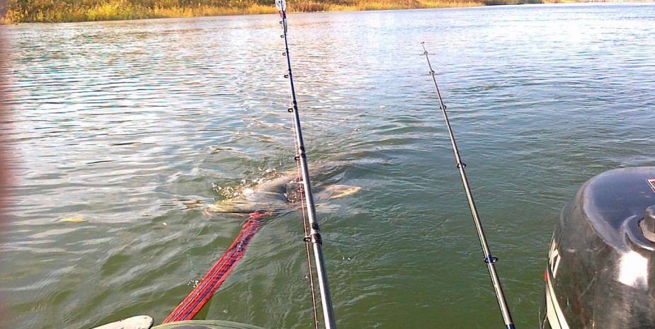 рыбалка на озере палецкое рыбалка без границ